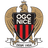 Nice logo