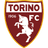 Torino logo