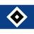 HSV logo