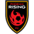 Phoenix Rising logo